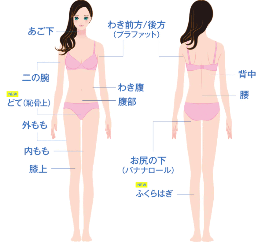 福岡の安いおすすめ脂肪冷却痩身 クルスカ 8選 部分痩せに効果的なリバウンドしない痩身法 なるほど福岡