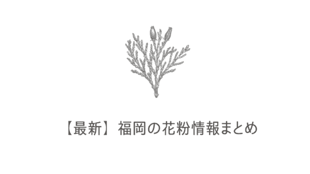 博多弁で好きっていう告白はなんていう 福岡女子の方言告白フレーズを例文付きで紹介 なるほど福岡