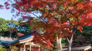 21年紅葉 福岡おすすめ絶景紅葉スポット特集 紅葉の見頃の時期やライトアップも なるほど福岡