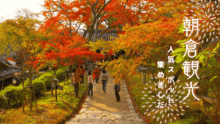 朝倉 秋月城跡 城下町の歴史 最新観光情報 21年の紅葉の見頃時期やランチ 周辺観光まとめ なるほど福岡